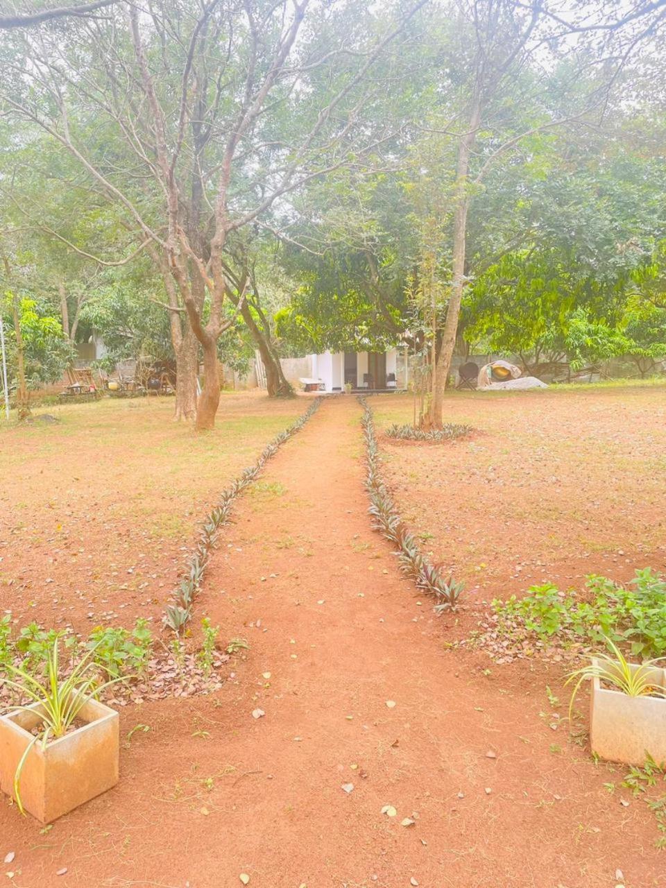 Ima Villa Sigiriya Exteriör bild